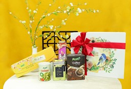 Picture of Spring Box 01