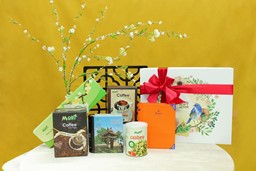 Picture of Spring Box 03