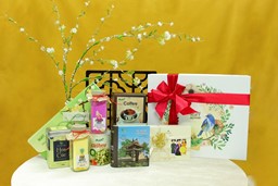 Picture of Spring Box 04